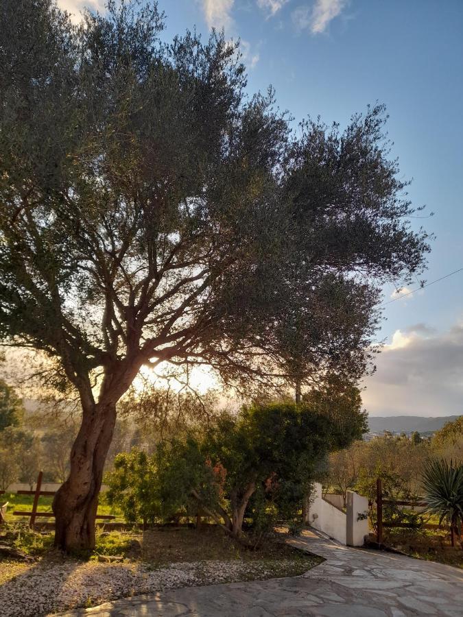 Agriturismo Palas De Serra Country Resort Onifai Exterior photo